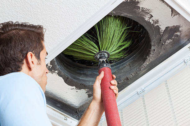 Best Air Duct Cleaning Near Me  in Tusculum, TN